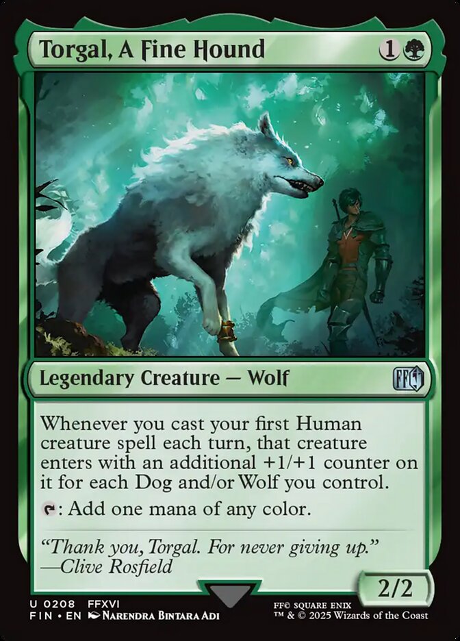 Torgal, A Fine Hound 